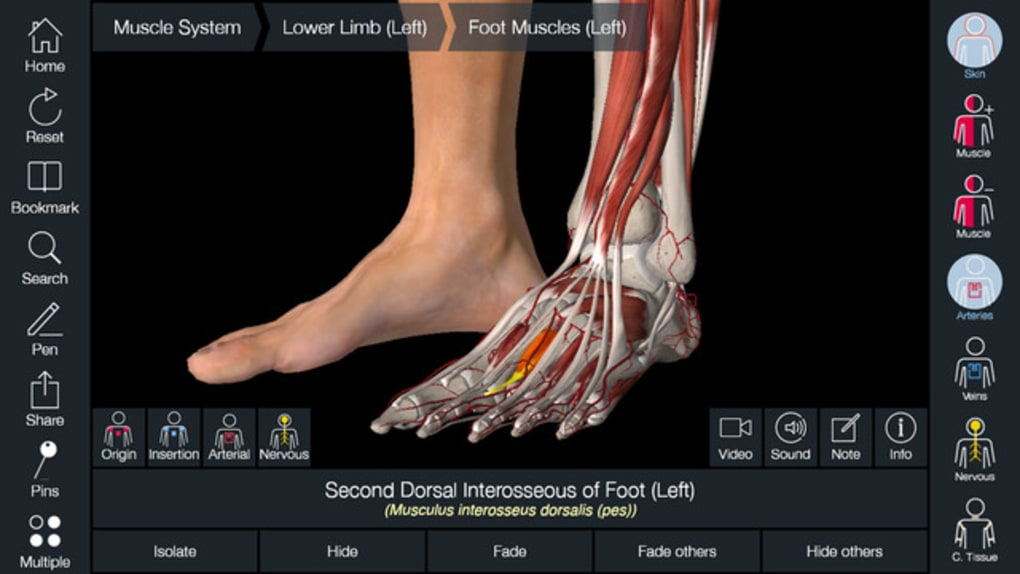 Download Anatomy Apps For Android